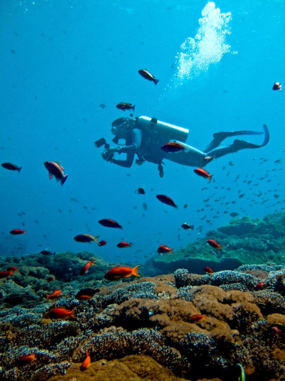 Club In Eilat - Coral Beach Villa Resort エクステリア 写真
